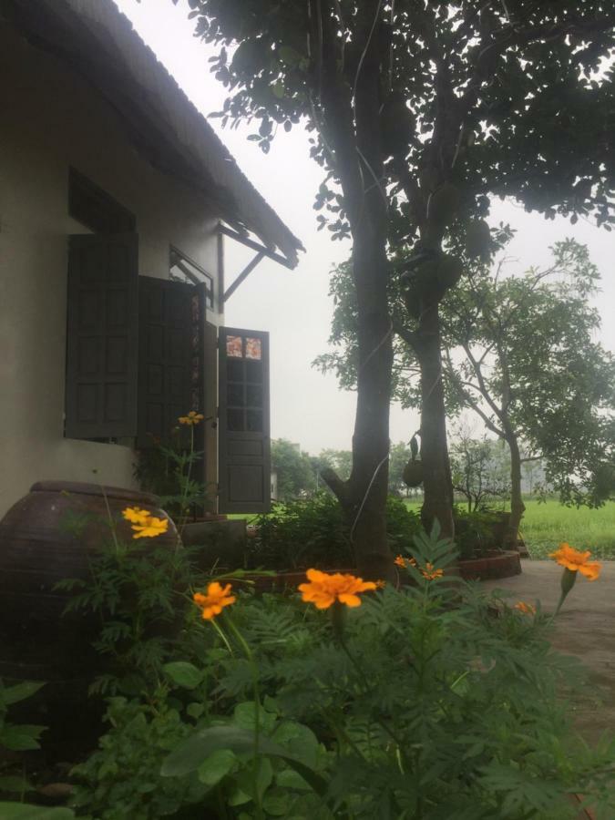 Hang Mua Happiness Homestay Ninh Binh Exterior foto